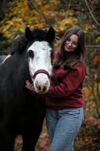 betrouwbare leaser/bijrijder aangeboden, Dieren en Toebehoren, Ophalen of Verzenden