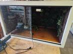Terrarium 101x59x59cm, eventueel met toebehoren, Ophalen, Zo goed als nieuw, Terrarium of Paludarium
