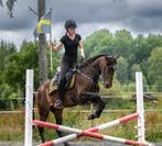 VIDEO: Prachtige werkwillige PRE merrie met geweldig karakte, Dieren en Toebehoren, Paarden, Merrie, Minder dan 160 cm, L, Gechipt