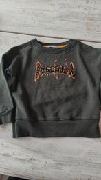 Donkergroene sweater van Ammehoela. 110, Ophalen of Verzenden, Zo goed als nieuw, Meisje, Trui of Vest