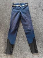 Paardrijbroek maat 36, Dieren en Toebehoren, Ophalen of Verzenden, Dressuur, Onderkleding