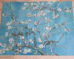 IXXI Almond Blossom van Van Gogh, Ophalen