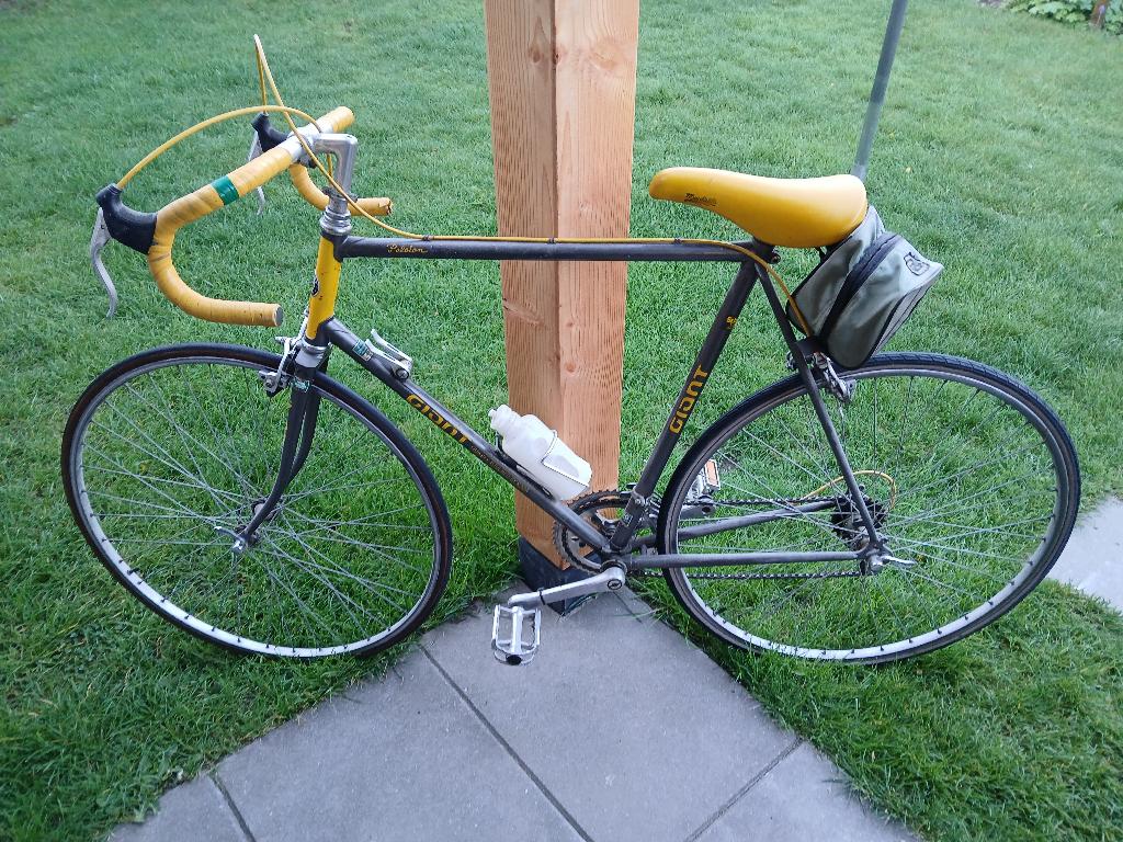 Giant Peloton racefiets te koop., Fietsen en Brommers, Fietsen | Racefietsen, Ophalen, 28 inch, Gebruikt, 10 tot 15 versnellingen