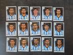 Panini WK 2014 Argentinië, Ophalen of Verzenden, Zo goed als nieuw, Plaatje