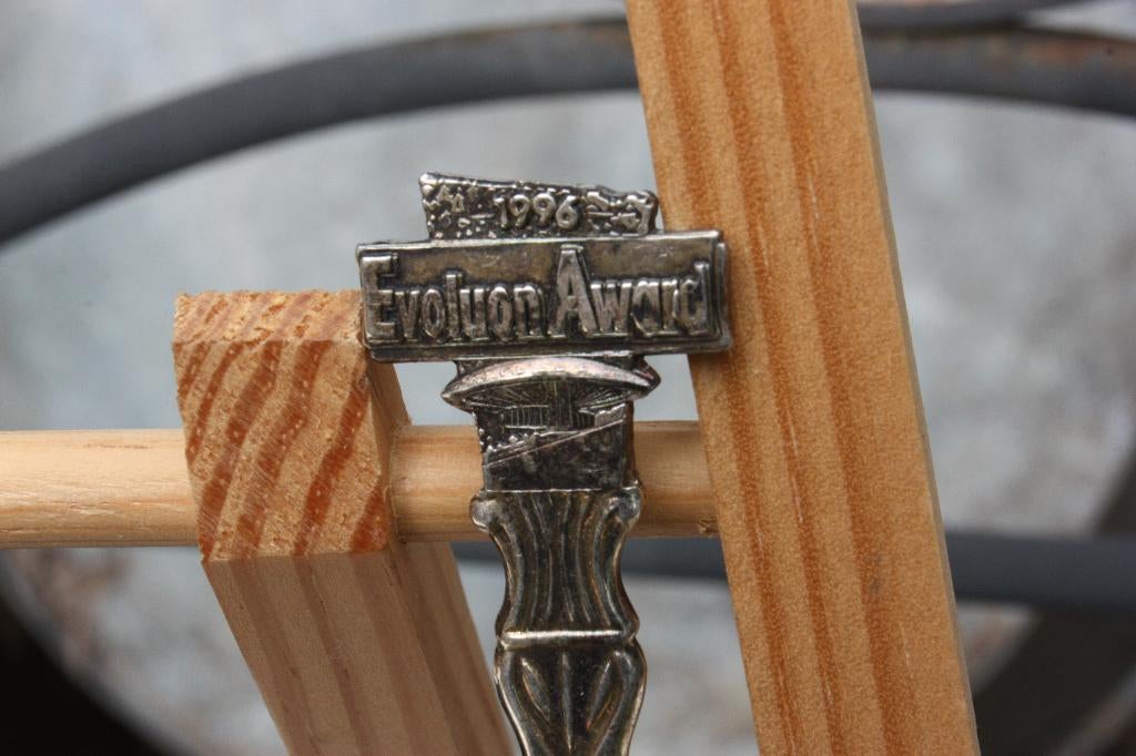 Lange lepel Evoluon Award 1996 Philips Eindhoven erg mooi, Ophalen of Verzenden, Zo goed als nieuw