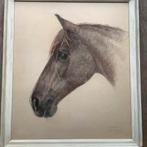 Paard paardenhoofd portret tekening van Isa van der Hoef, Ophalen