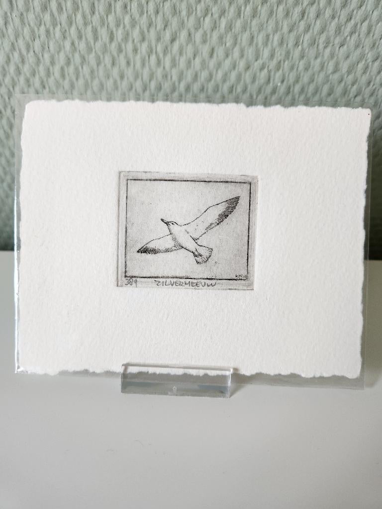 Ets Klaas Nobel - Zilvermeeuw, Antiek en Kunst, 5 cm, Ophalen of Verzenden, Gesigneerd, Flora en Fauna