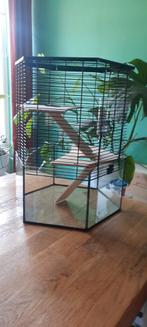 Knaagdieren kooi, Ophalen, Kooi, Minder dan 60 cm