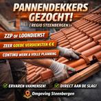 Pannendekker gezocht Regio steenbergen Noord Brabant, 33 - 40 uur, Overige niveaus, Overige vormen