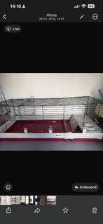 Konijnenhok, Ophalen, 60 tot 90 cm, Hamster, Hok