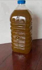 Olijfolie uit Azzaba Sefrou € 60,00, Ophalen of Verzenden