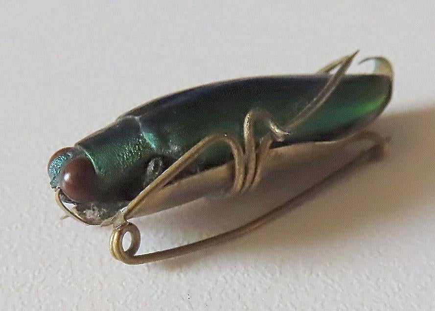 Uit inboedel:Broche met echte iriserende juweelkever, victor, Verzenden, Overige materialen, Broche