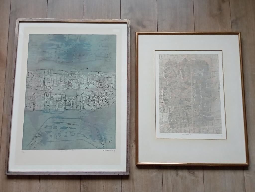 2 prints/litho's van Shoichi Hasegawa ingelijst achter glas, Antiek en Kunst, Kunst | Litho's en Zeefdrukken, Ophalen