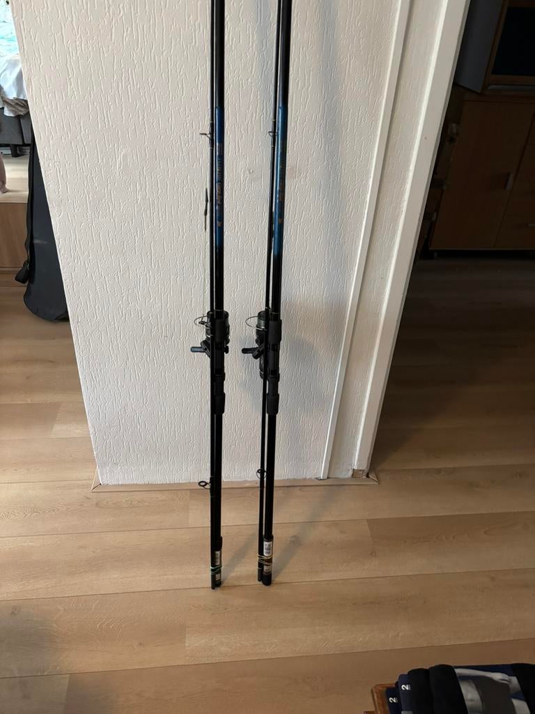 Karper hengels, Watersport en Boten, Hengelsport | Karpervissen, Ophalen, Zo goed als nieuw, Werphengel