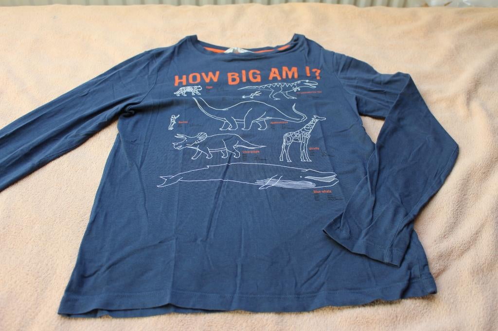 shirt van H&M maat 134-140jaar, H&M, Ophalen of Verzenden, Zo goed als nieuw, Shirt of Longsleeve
