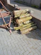 Inland Eiken., Tuin en Terras, Haardhout, Minder dan 3 m³, Ophalen, Eikenhout, Stammen