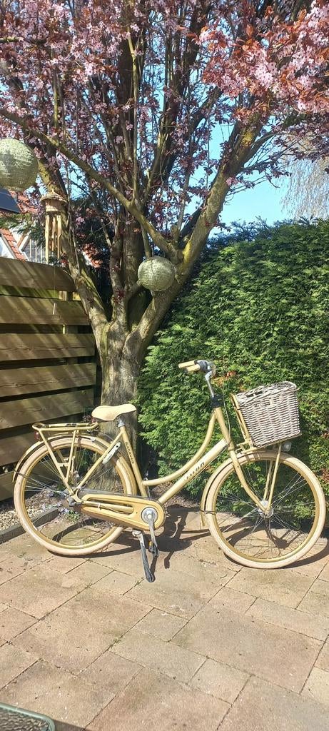 Batavus Diva goudkleurig, Ophalen, Terugtraprem, Versnellingen, Batavus