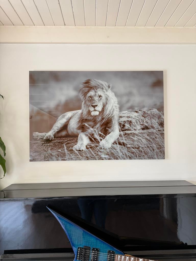 XL wanddecoratie leeuw 120 x 80 cm, Ophalen