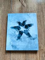 PS4 spel - Infamous Second Son Special Edition, Avontuur en Actie, 1 speler, Ophalen of Verzenden, Zo goed als nieuw