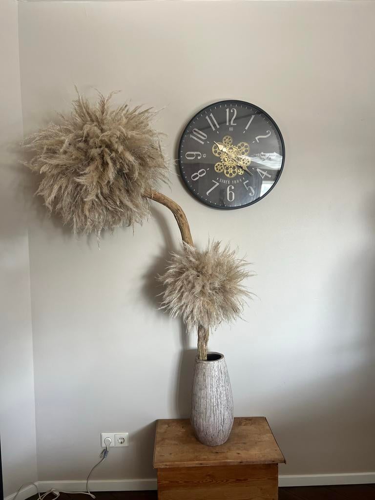 Pampas boom met twee bollen - Unieke decoratie, Ophalen, Binnen, Natuurlijk materiaal, Beige