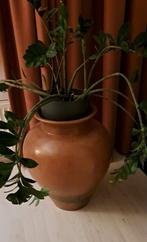 Vaas, Ophalen, Overige kleuren, Glas, 50 tot 75 cm