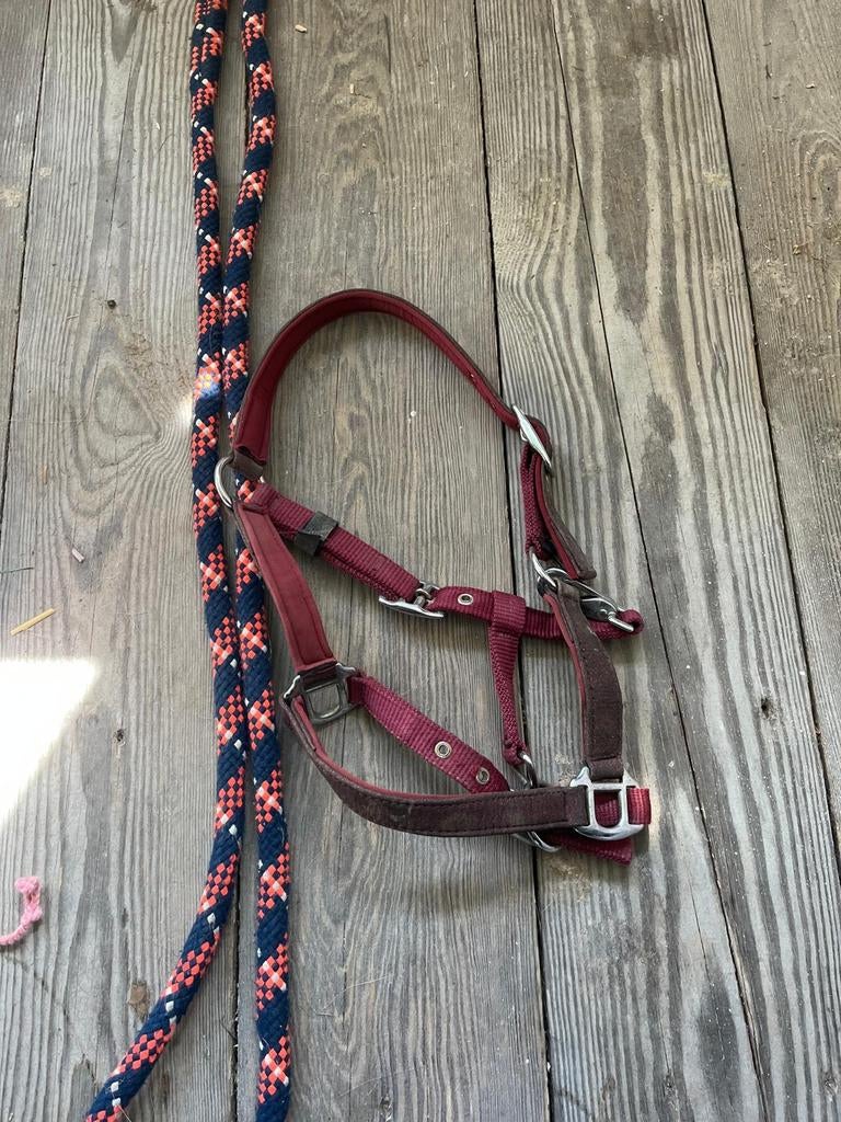 Mini shetlander halster met touw., Ophalen of Verzenden, Gebruikt, Recreatie