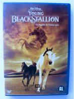 Young Black Stallion (originele dvd) Disney, Alle leeftijden, Ophalen of Verzenden, Zo goed als nieuw, Dieren