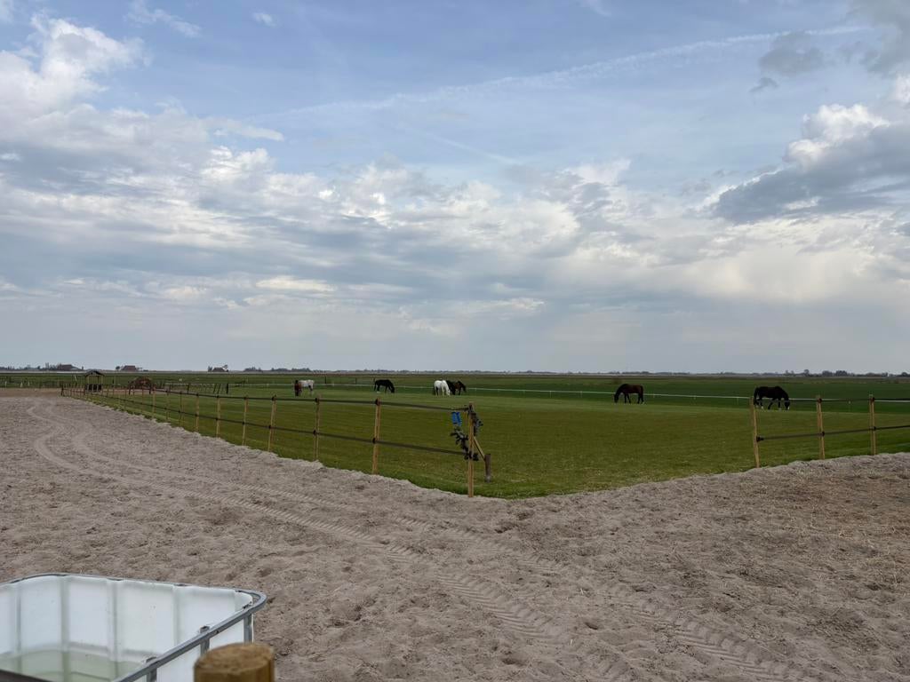Stalling aangeboden voor paard / pony met pensioen, Dieren en Toebehoren, Stalling en Weidegang, Stalling