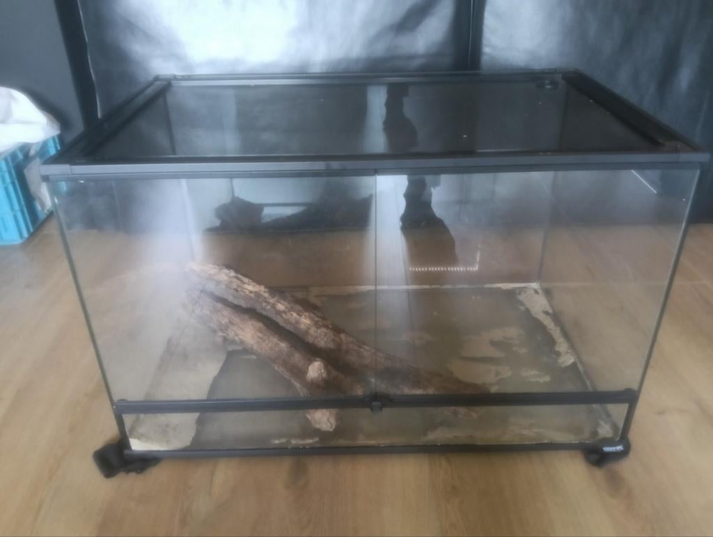 Terrarium 80x50x50 + lampen, Ophalen