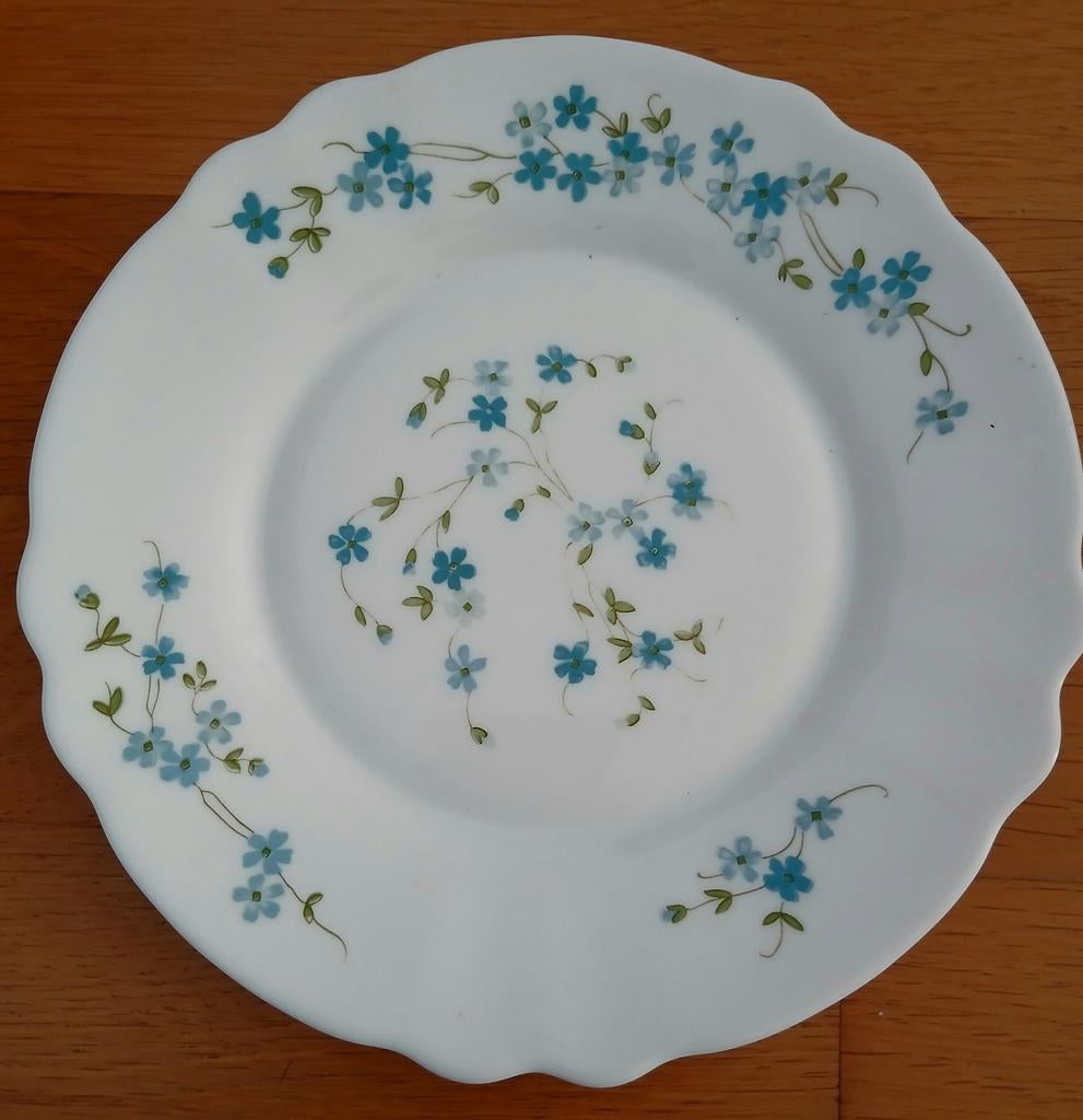 Arcopal France Vergeet Mij Nietjes Servies Borden 4 Stuks, Ophalen of Verzenden, Bord(en), Overige stijlen, Glas