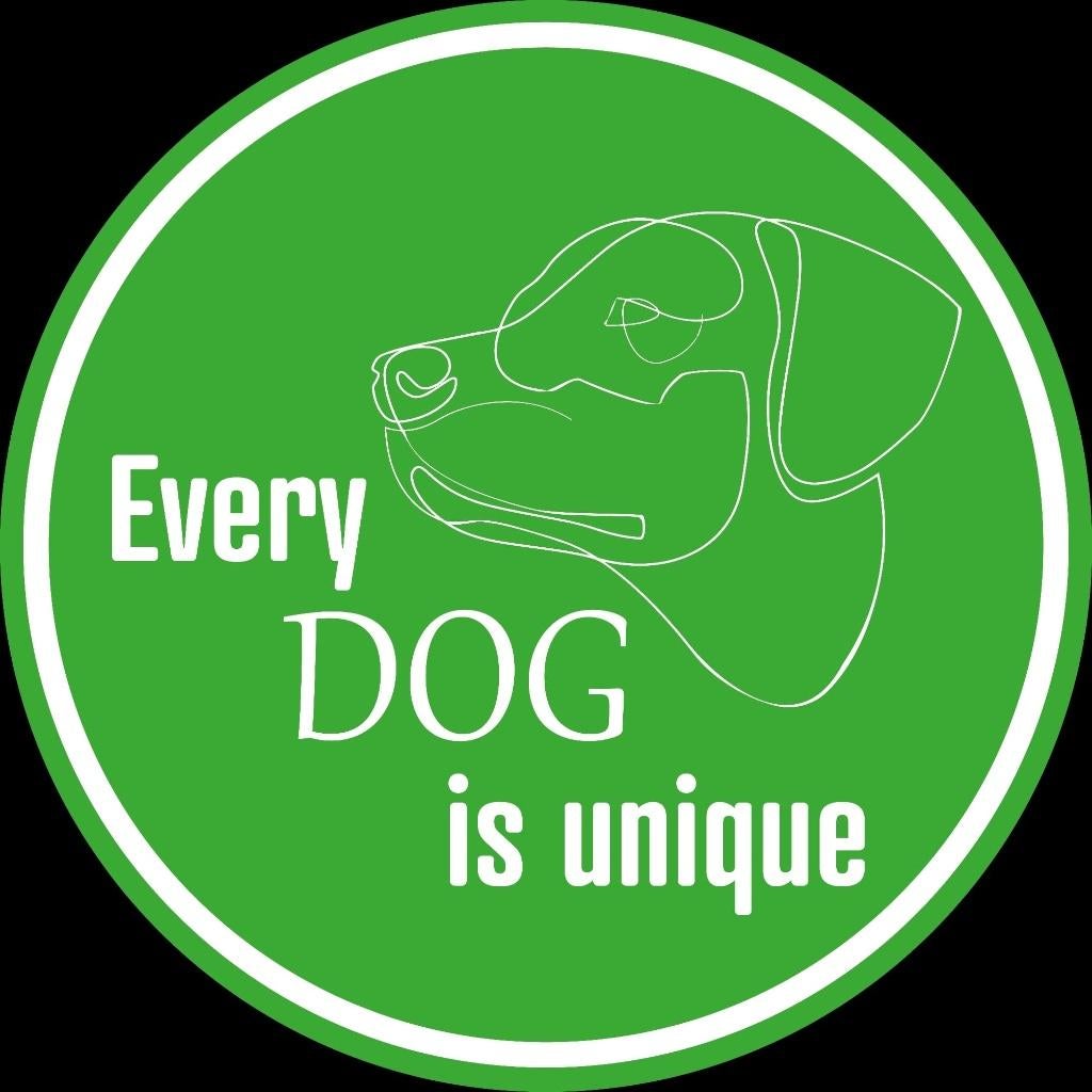 Puppycursus/Prive hondentrainer/Expert Buitenlandse Honden, Diensten en Vakmensen, Dieren | Honden | Verzorging, Oppas en Les