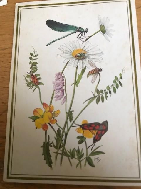 Marius Kolvoort, Ophalen of Verzenden