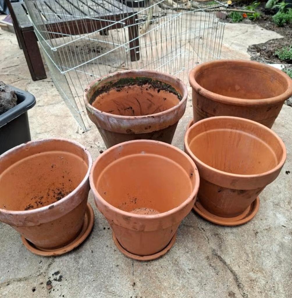 GEZOCHT: plantenpotten, Ophalen, Rond, Zo goed als nieuw, Tuin