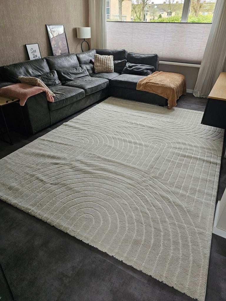 Super mooi groot Japandi vloerkleed, Ophalen, Japandi, Zo goed als nieuw, 200 cm of meer