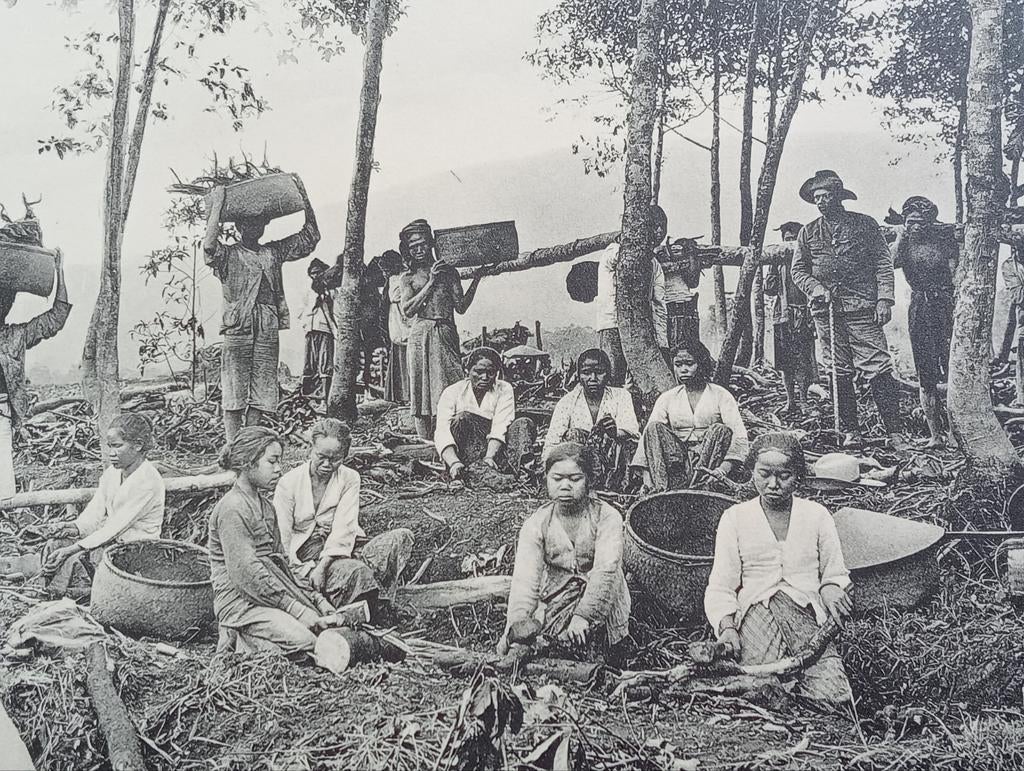 Foto gravure Nederlands Indië Indonesië 1910, Verzamelen, Ophalen of Verzenden, Voor 1940, Zo goed als nieuw, Buitenland