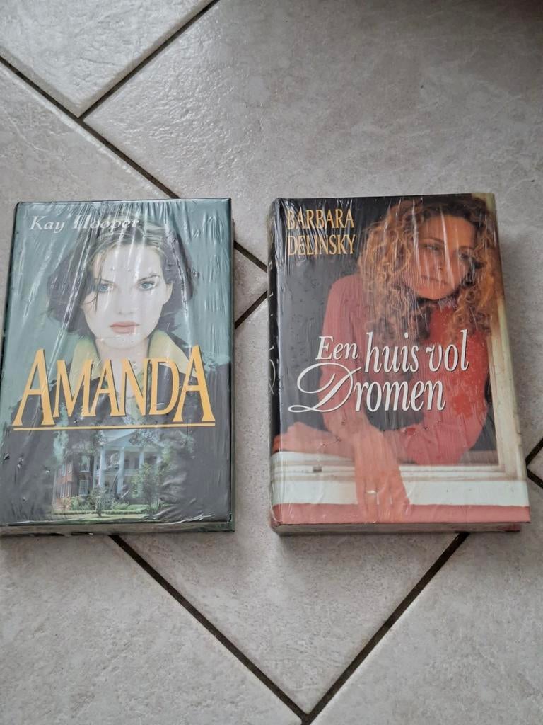 2 BOEKEN KAY HOOPER EN BARBARA DELINSKY  €5, Ophalen of Verzenden