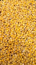 Mais Vers bereid 20kg 22.50 euro, Ophalen of Verzenden, Nieuw, Overige typen