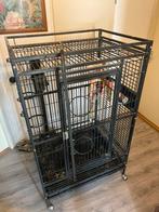 Papegaaienkooi, Dieren en Toebehoren, Vogels | Parkieten en Papegaaien, Mannelijk, Papegaai