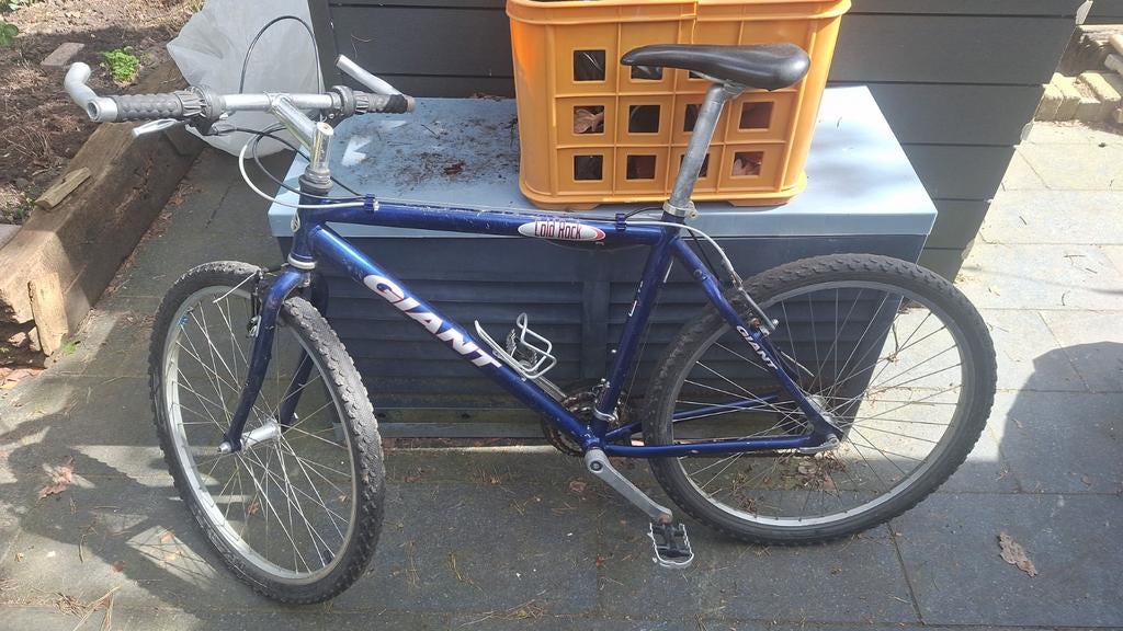 Mountainbike, Fietsen en Brommers, Fietsen | Bakfietsen, Ophalen of Verzenden, Gebruikt, 1 kind