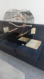 Te koop grote vogelkooi Kooi 3 weken oud, Ophalen, Zo goed als nieuw, Metaal, Vogelkooi