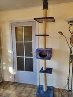 Hoge krabpaal AniOne, Ophalen of Verzenden, Gebruikt, Krabpaal