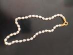 Elegante Zoetwater Parel Ketting - 25 cm, Sieraden, Tassen en Uiterlijk, Kettingen, Ophalen of Verzenden, Nieuw, Wit, Overige materialen