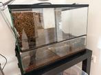 Terrarium voor reptielen en amfibieën, Ophalen, Gebruikt, Terrarium of Paludarium