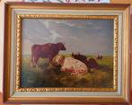 19de eeuwse olieverf op paneel , koeien, monogram PAV, Ophalen of Verzenden