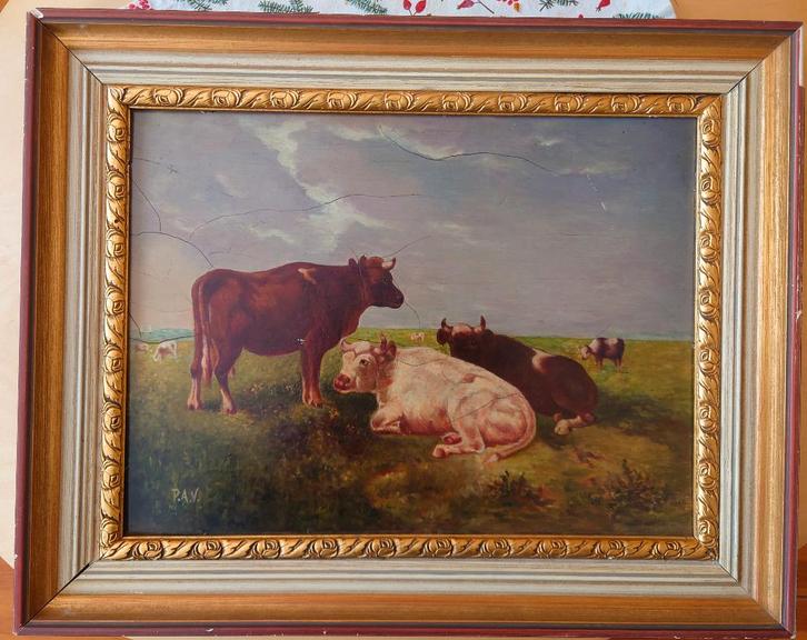 19de eeuwse olieverf op paneel , koeien, monogram PAV, Antiek en Kunst, Kunst | Schilderijen | Klassiek, Ophalen of Verzenden