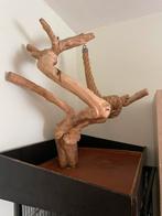 Vogel papegaai java boom javaboom, Dieren en Toebehoren, Ophalen, Zo goed als nieuw