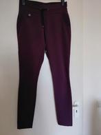 Broek van Zizo 36, Zizo, Paars, Nieuw, Ophalen of Verzenden
