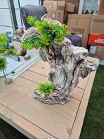 Ornamenten, Dieren en Toebehoren, Ophalen, Gebruikt, Plant(en), Steen of Hout