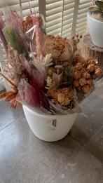 Diverse soorten droogbloemen - Perfect voor decoratie, Ophalen of Verzenden, Nieuw