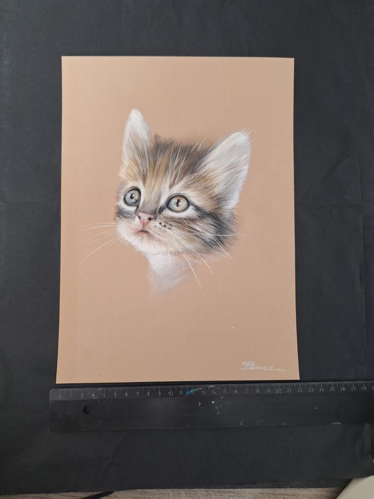 Getekend portret van een kitten, Ophalen of Verzenden